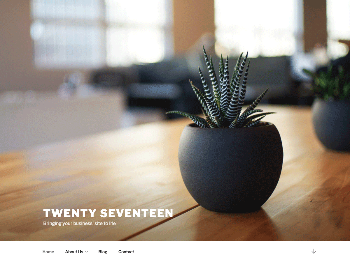 Twenty Seventeen - Theme Wordpress