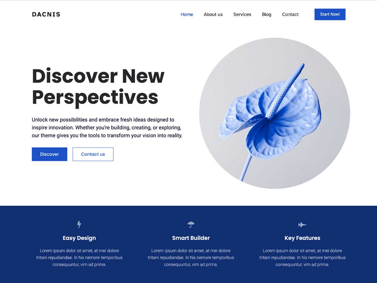 Dacnis - Wordpress Theme