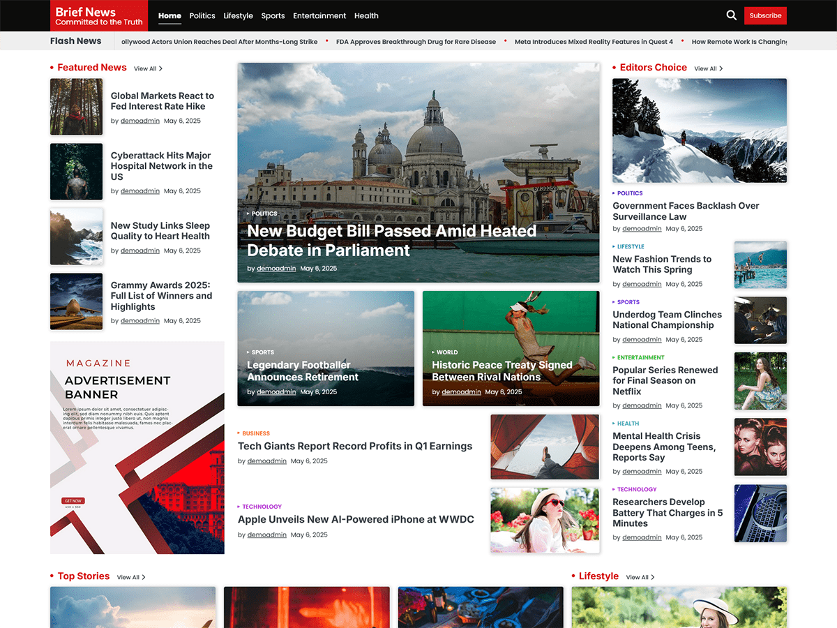 Brief News - Wordpress Theme