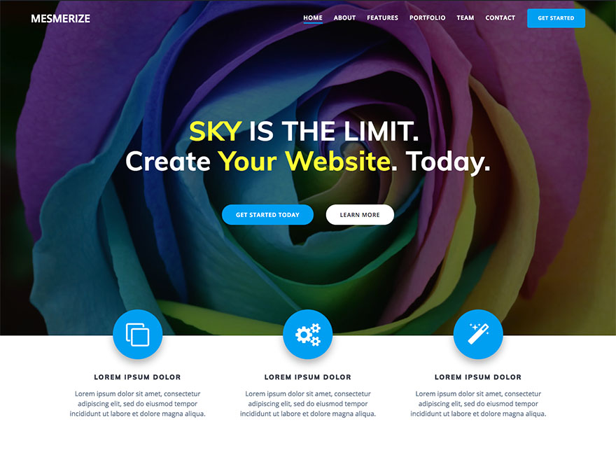 Mesmerize - Wordpress Theme