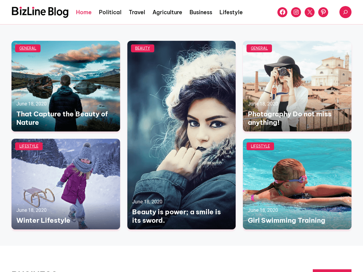 BizLine Blog - Wordpress Theme