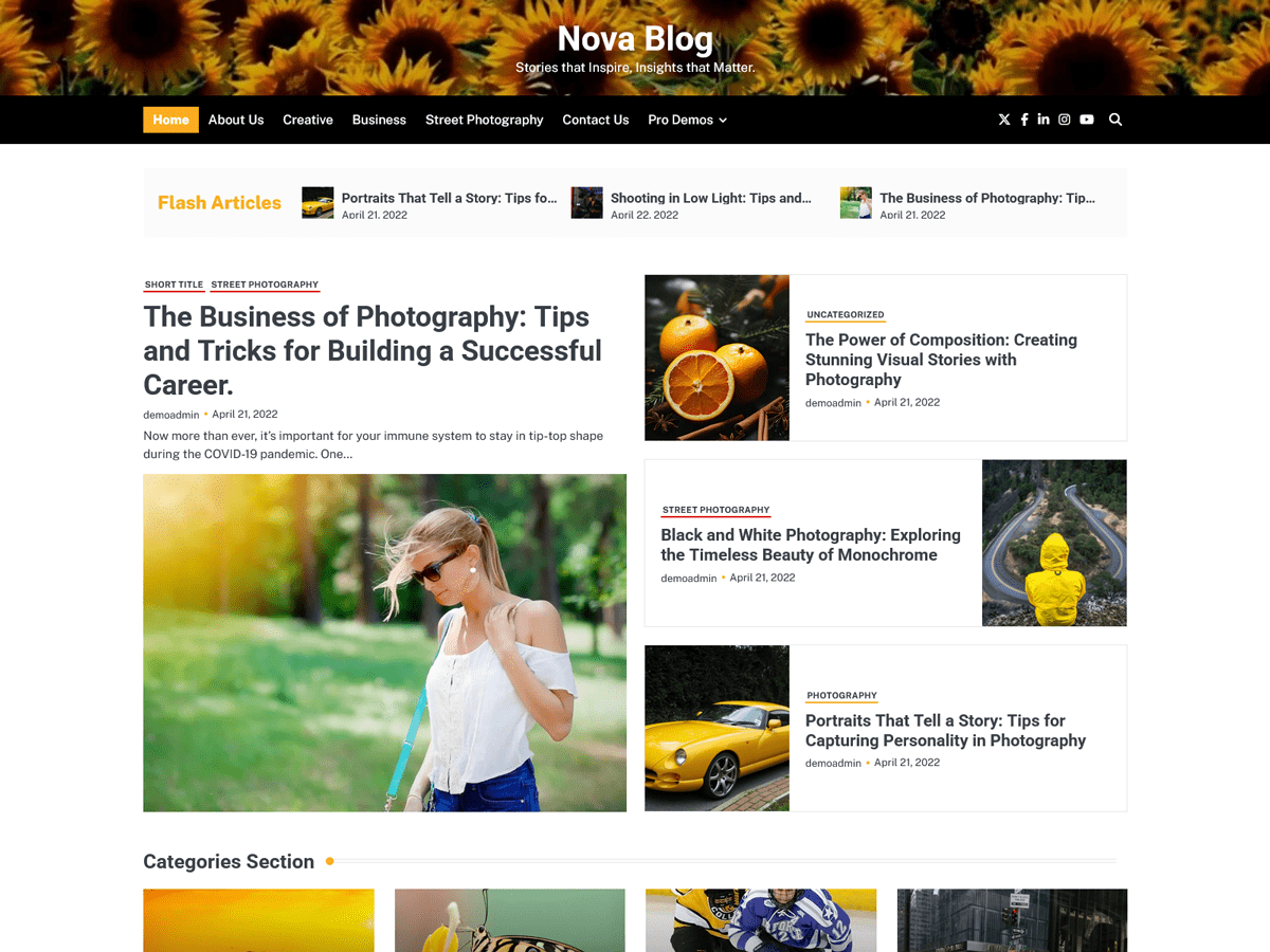 Nova Blog - Wordpress Theme