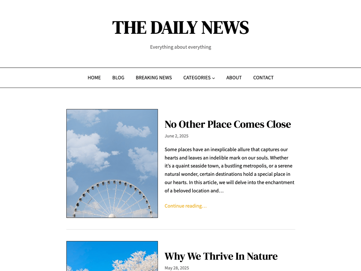 Daily News Blog - Wordpress Theme