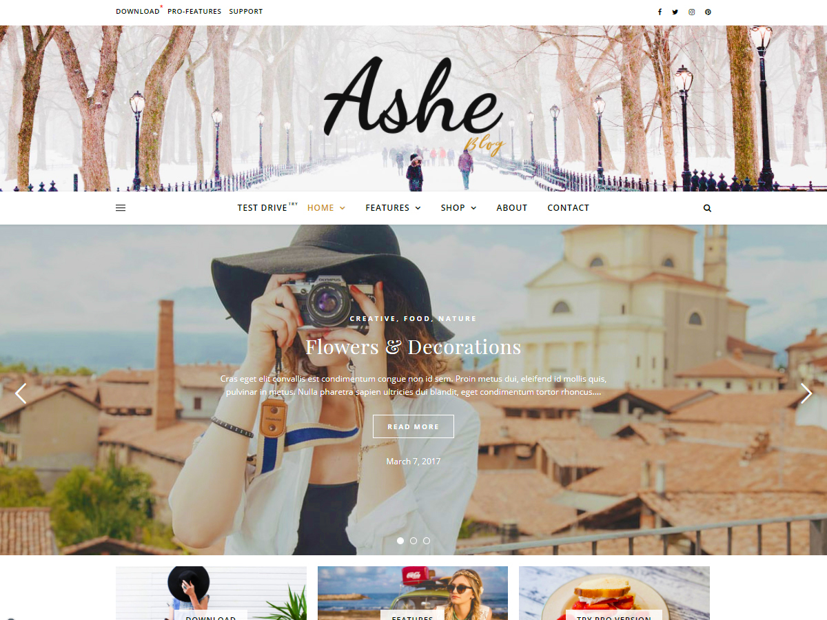 Ashe - Wordpress Theme