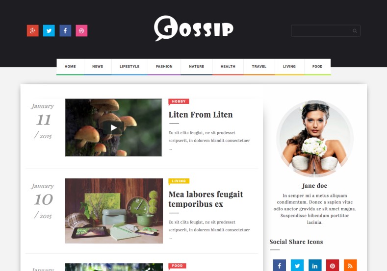 Gossip Blogger Template