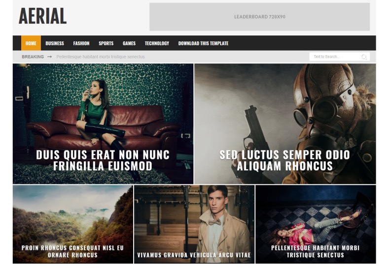 Aerial Blogger Template