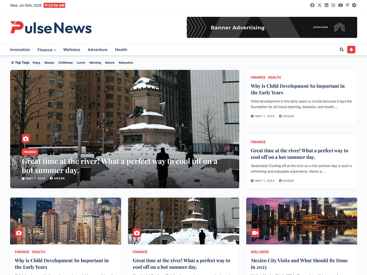 Pulse News - Wordpress Theme