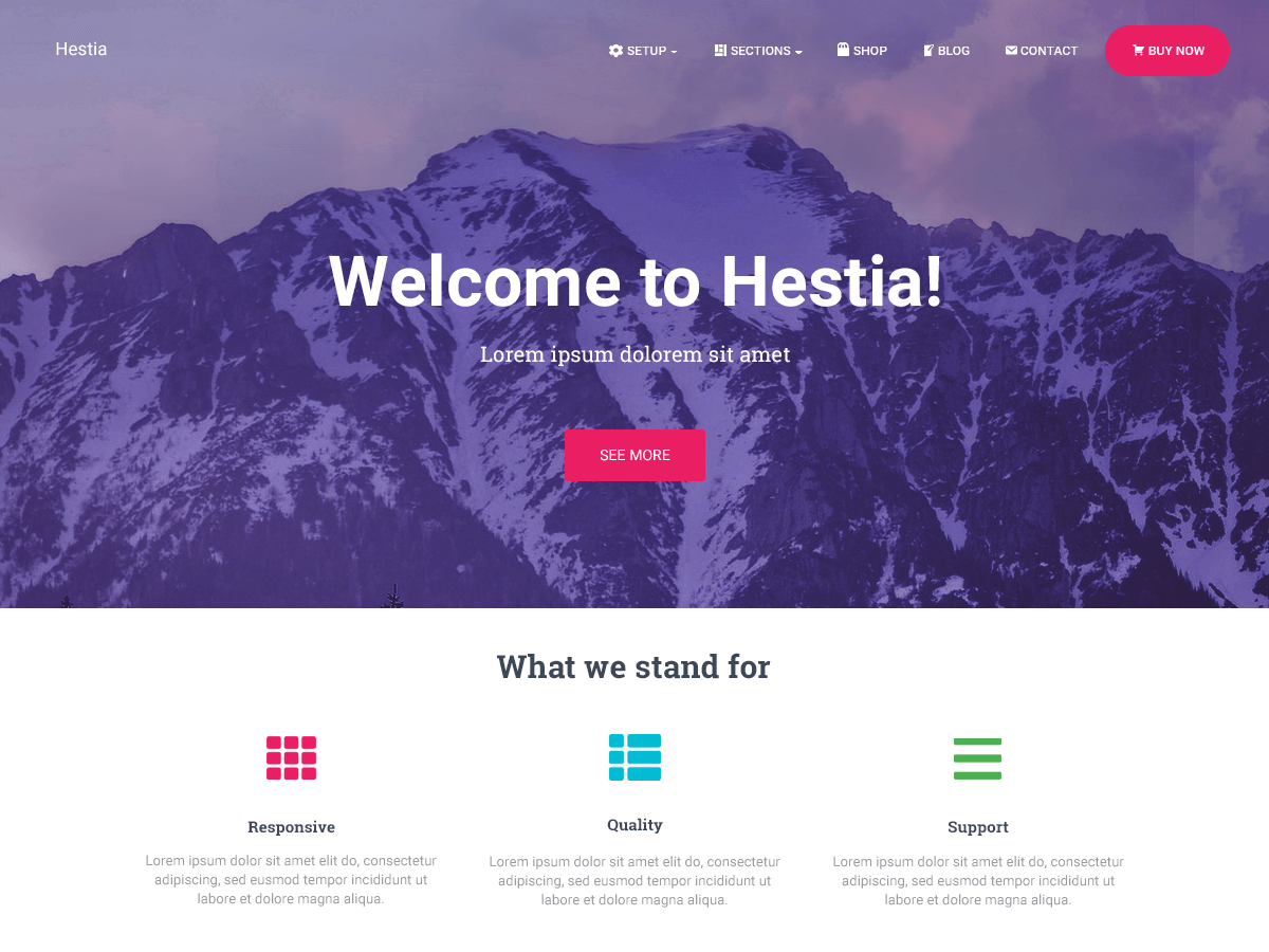Hestia - Theme Wordpress