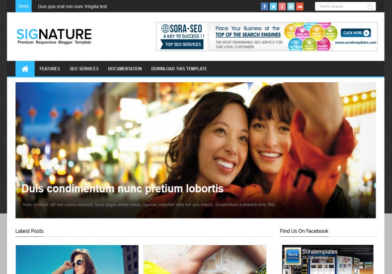 Signature Blogger Template