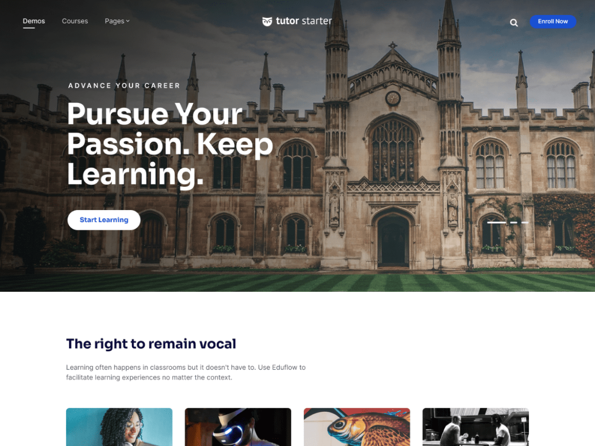 TutorStarter - Wordpress Theme