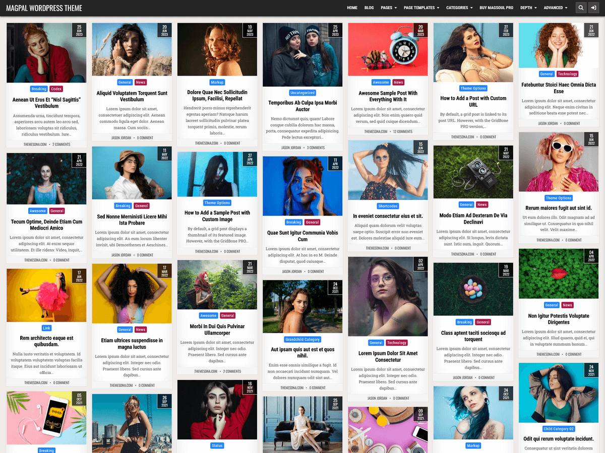 MagPal - Wordpress Theme