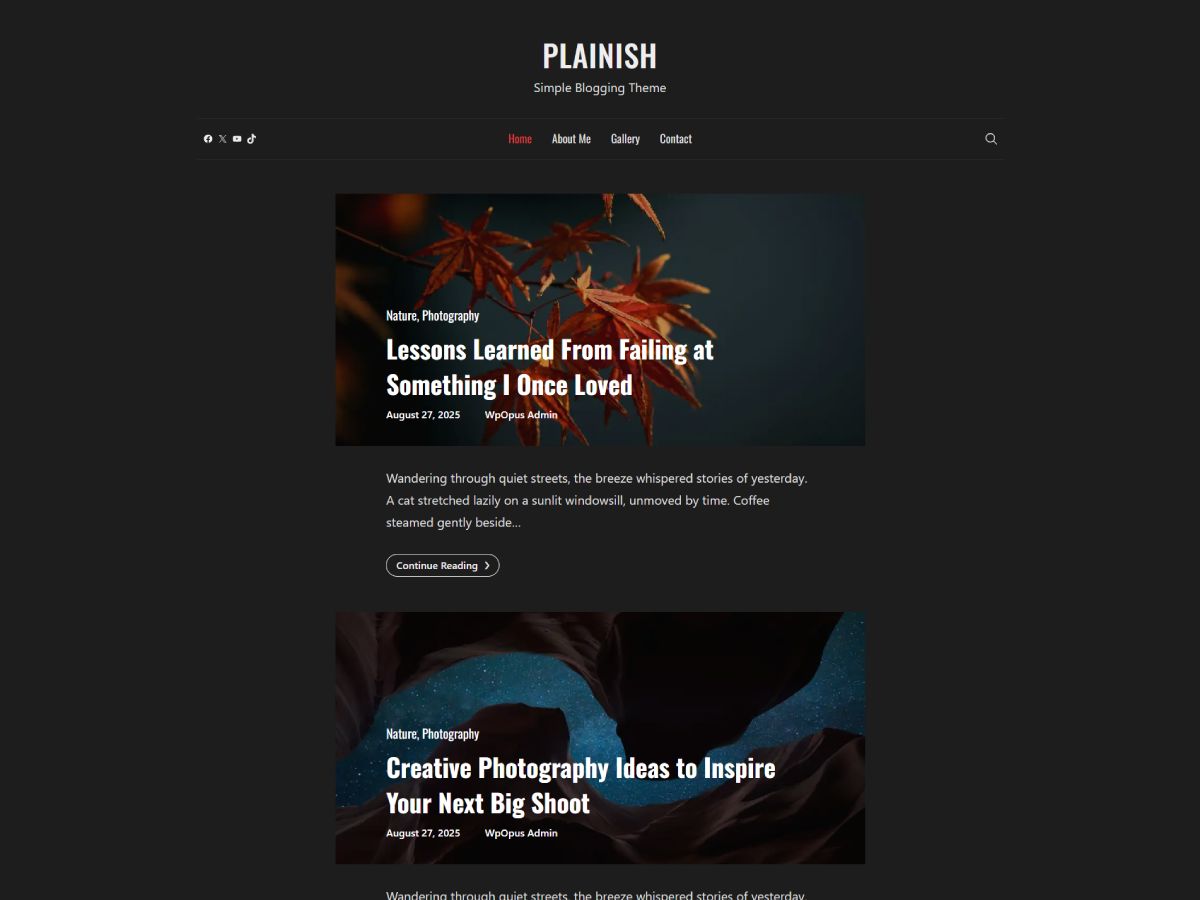 Plainish - Wordpress Theme
