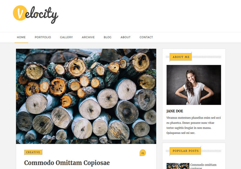 Velocity Blogger Template