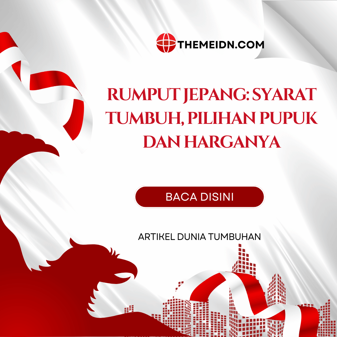 Rumput Jepang: Syarat Tumbuh, Pilihan Pupuk dan Harganya